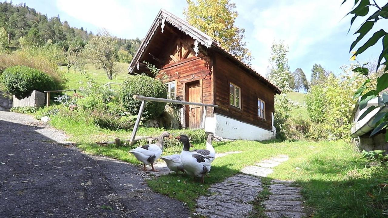 Haus Holler Lejlighed Wallgau Eksteriør billede